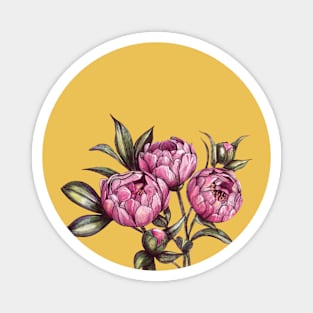 Peonies  boutique Magnet